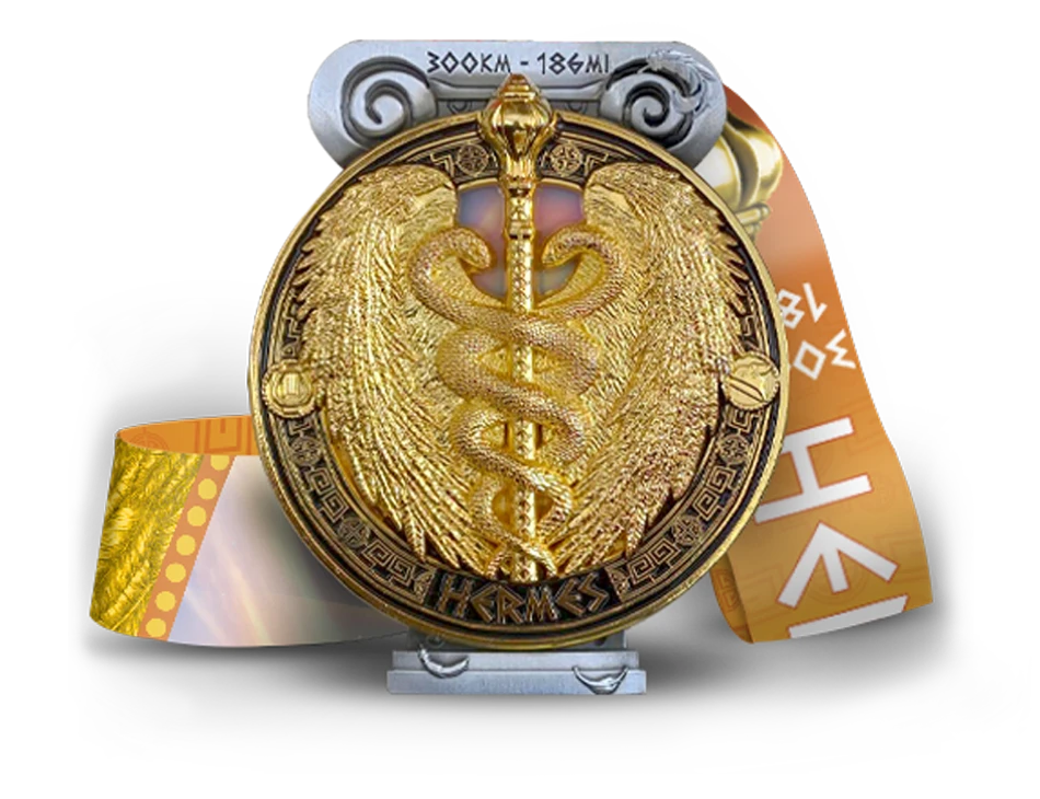 Medal from a Victoris challenge